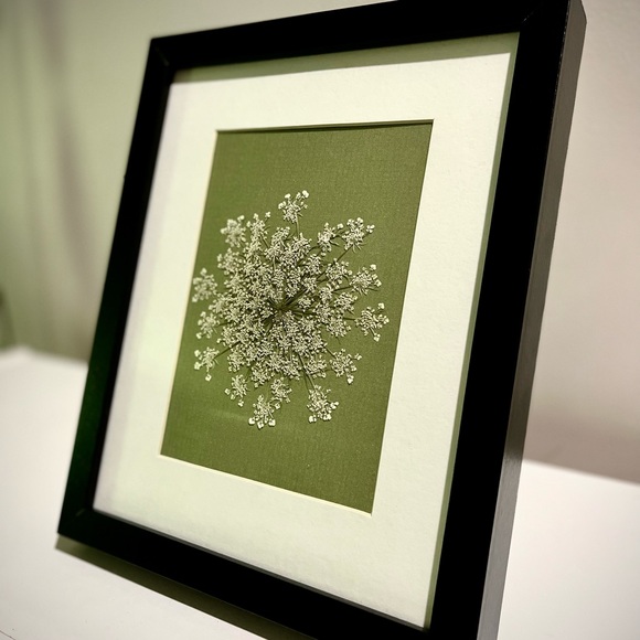 ⚘  Framed Wildlowers ⚘ - Picture 3 of 3